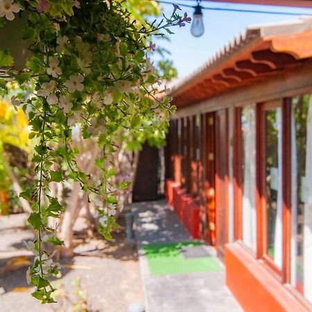 El Rincon Del Huroncillo Tejina Εξωτερικό φωτογραφία